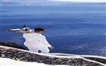 Katikies, Santorini, Greece - Katikies