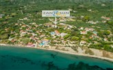  Zante Sun