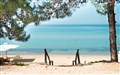 Oceania beach Ikos Oceania