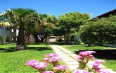  Gaia Garden