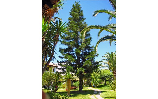 Gaia Garden 