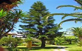  Gaia Garden