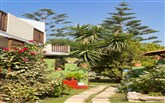  Gaia Garden