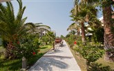  Tigaki Beach