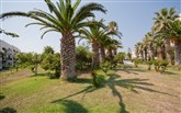  Tigaki Beach