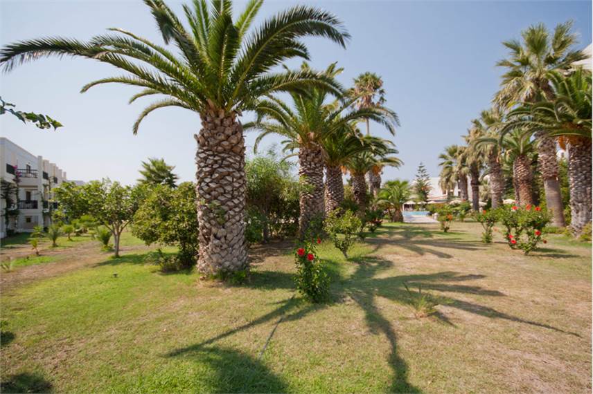  Tigaki Beach