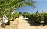  Kalimera Mare