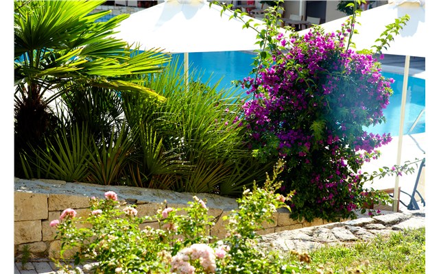 Renaissance Hanioti Resort 