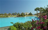  Aldemar Royal Mare