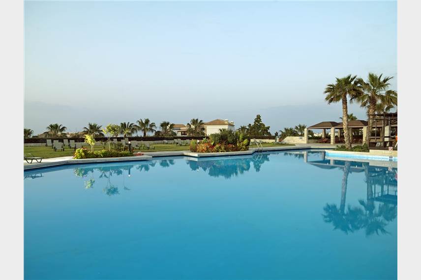  Aldemar Royal Mare