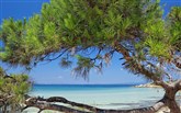  Pomegranate Wellness Spa Hotel
