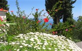 samos hotel kerveli village - Kerveli Village