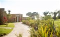 Bungalows in Gardens Ikos Olivia