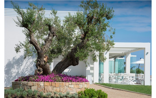 OUZO Greek Restaurant Ikos Olivia