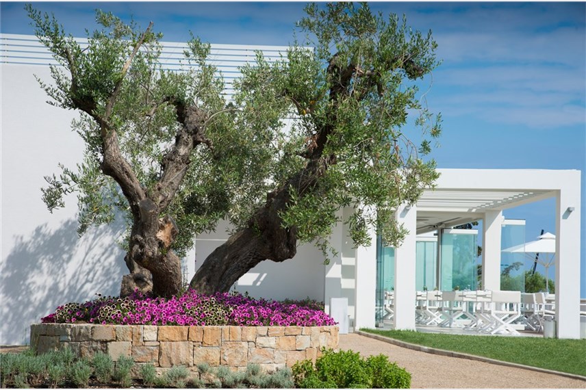 ikos olivia resort halkidiki greece - Ikos Olivia