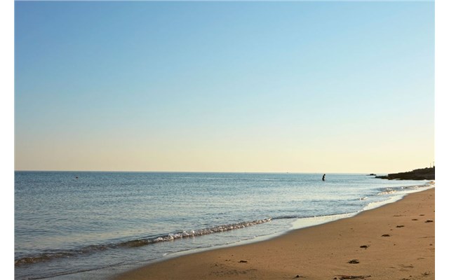 The Island 