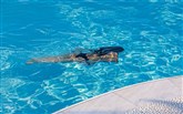  De.light Mykonos Boutique Hotel and Spa