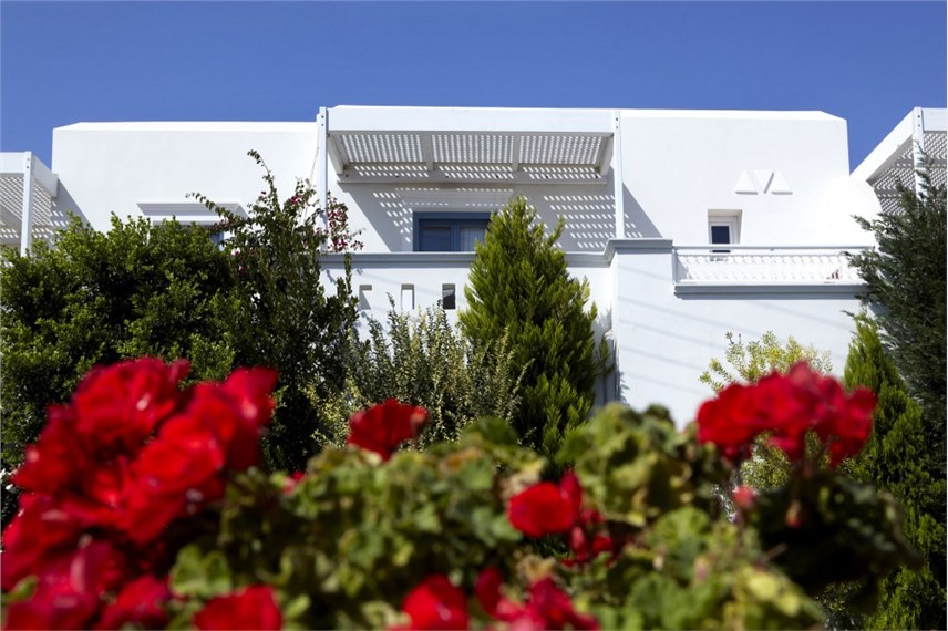  Mitos suites