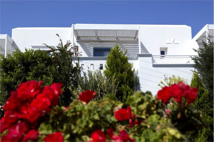  Mitos suites