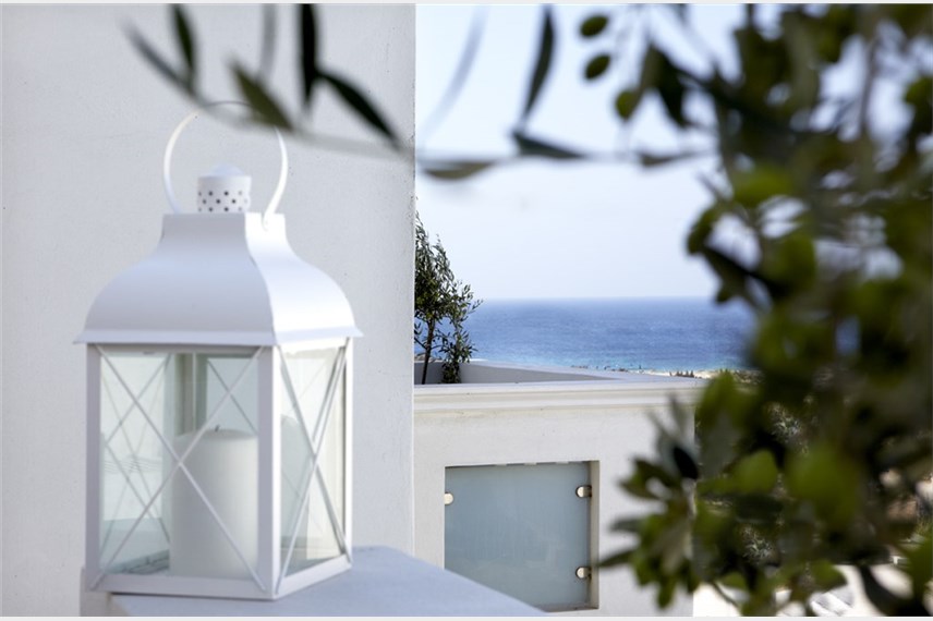  Mitos suites