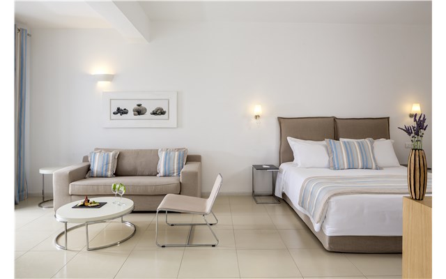 De.light Mykonos Boutique Hotel and Spa 