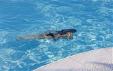  De.light Mykonos Boutique Hotel and Spa