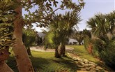  Out of the Blue Capsis Elite Resort