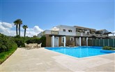  Aldemar Royal Mare