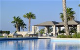  Aldemar Royal Mare