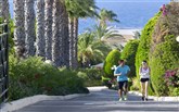  Aldemar Royal Mare