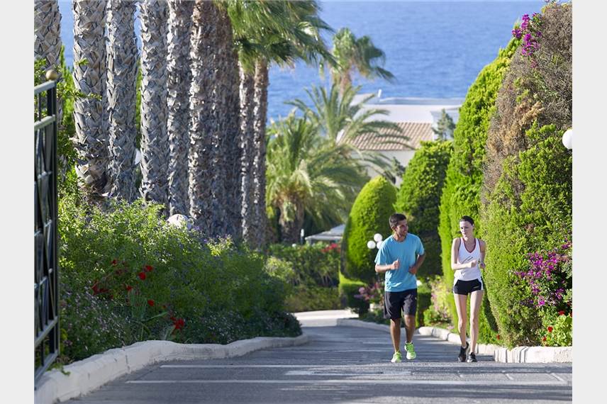  Aldemar Royal Mare