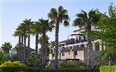  Aldemar Royal Mare
