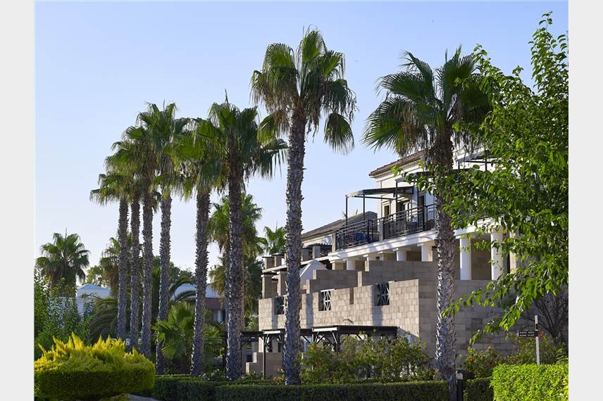  Aldemar Royal Mare
