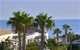  Aldemar Royal Mare