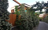  Horizon Line Villas