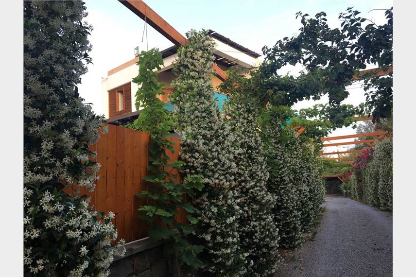  Horizon Line Villas