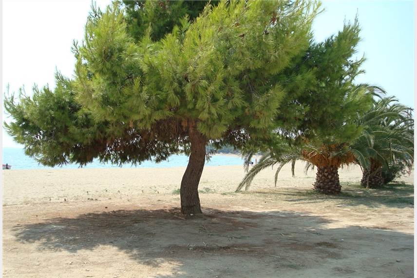  Kalives Resort