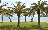 Grecotel luxme daphnila bay corfu greece - Grecotel Daphnila Bay