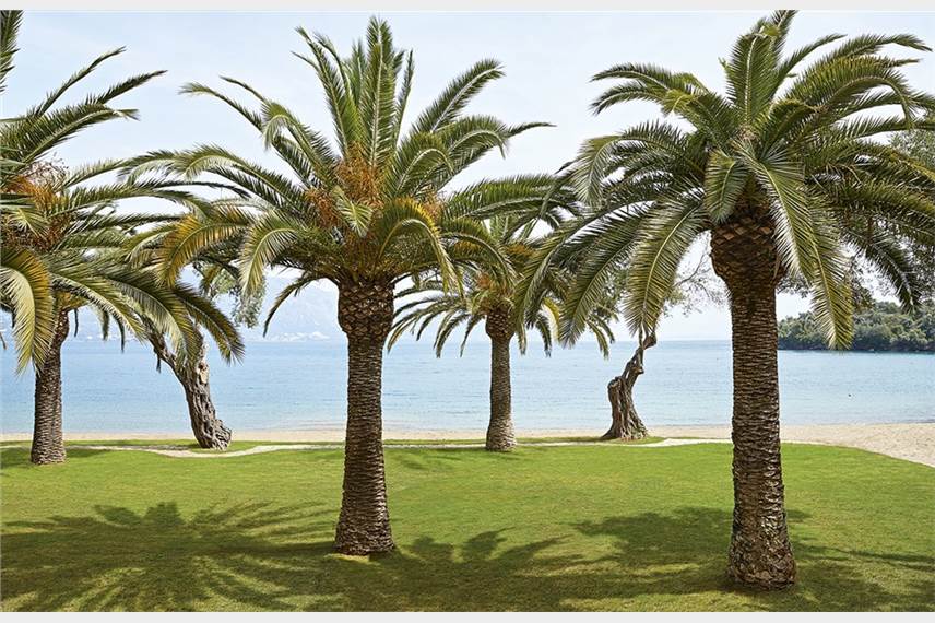 Grecotel luxme daphnila bay corfu greece - Grecotel Daphnila Bay