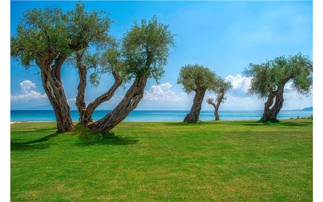 Hotel Domes Miramare, a Luxury Collection Resort Corfu - Domes Miramare, a Luxury Collection Resort Corfu