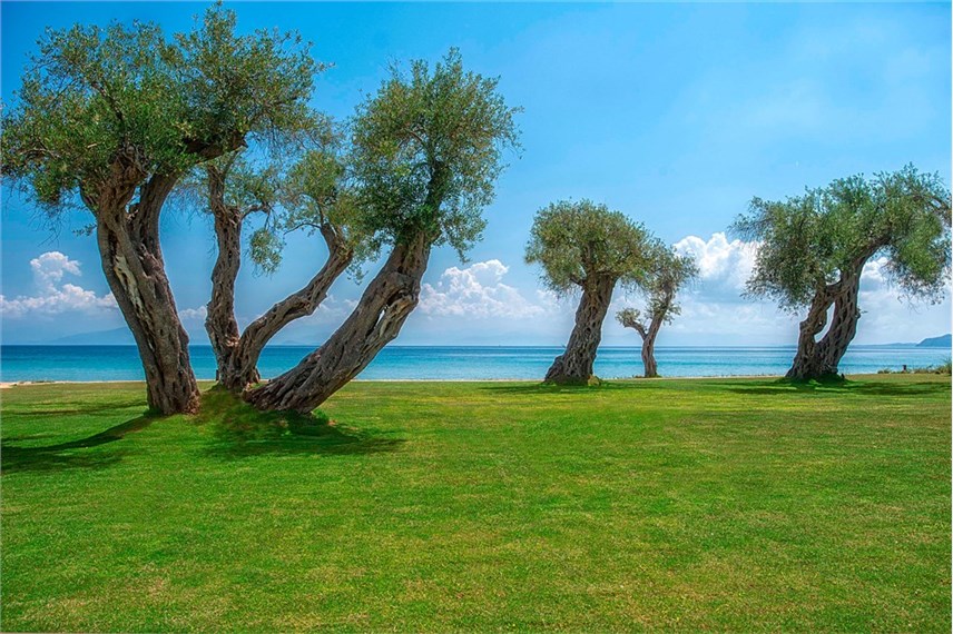 Hotel Domes Miramare, a Luxury Collection Resort Corfu - Domes Miramare, a Luxury Collection Resort Corfu