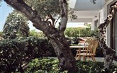  The Royal Blue a Luxury Beach Resort
