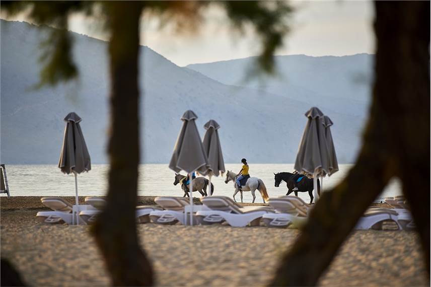  Mythos Palace Resort and Spa