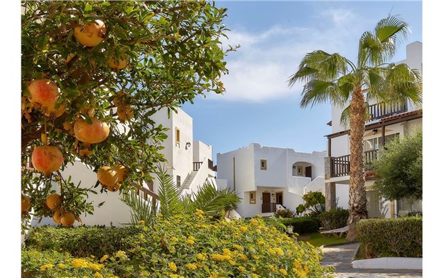 alexander beach hotel and village - Alexander Beach Hotel and Village