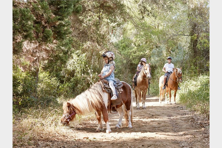  Grecotel Lux.Me Oasis at Riviera Olympia and Aqua Park