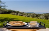  Messinian Nest