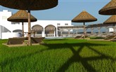  Absolute Kiotari Resort