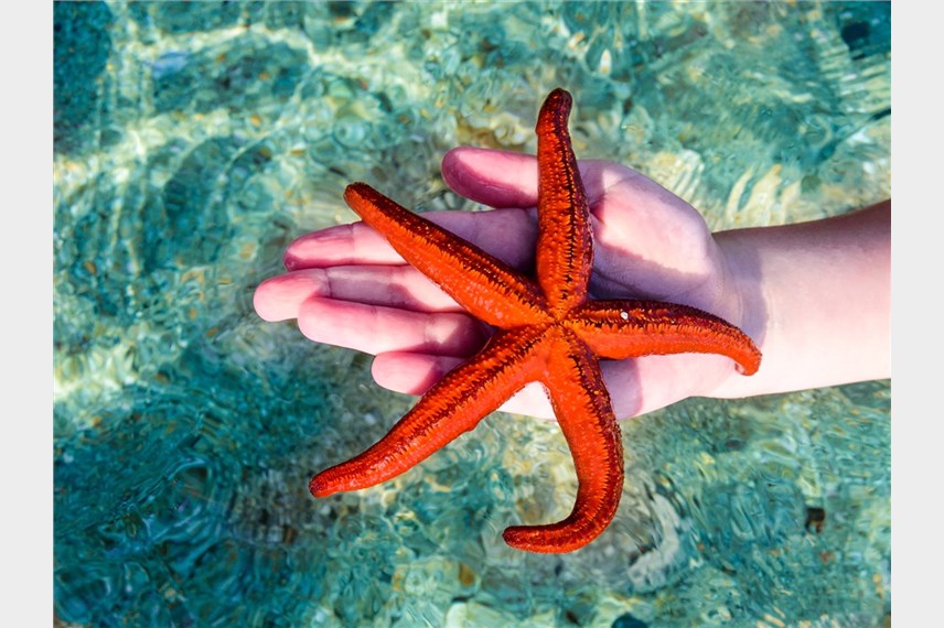  Porto Carras Meliton