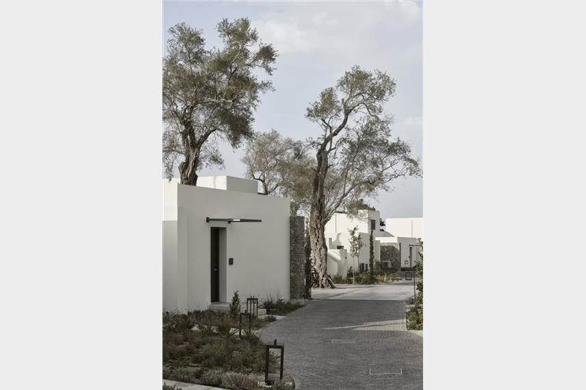  The Olivar Suites