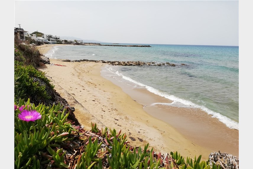 Shotels Almare Beach, Kokkini Hani, Greece, pláž Shotels Almare Beach